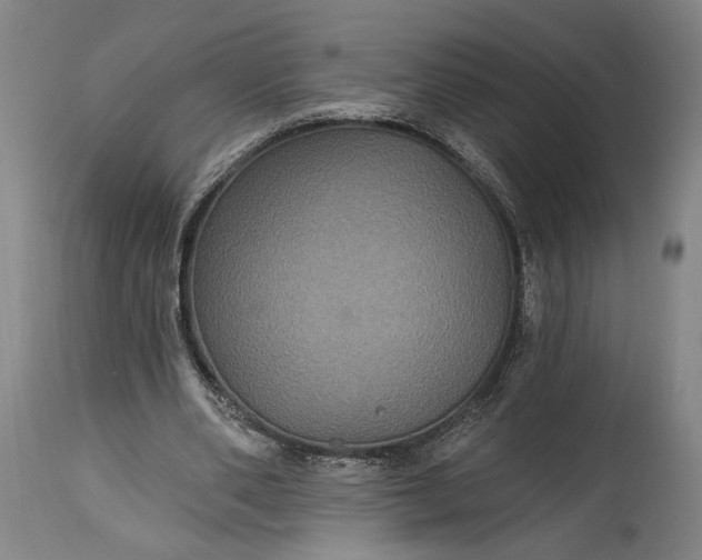 X0000115320486200911161749