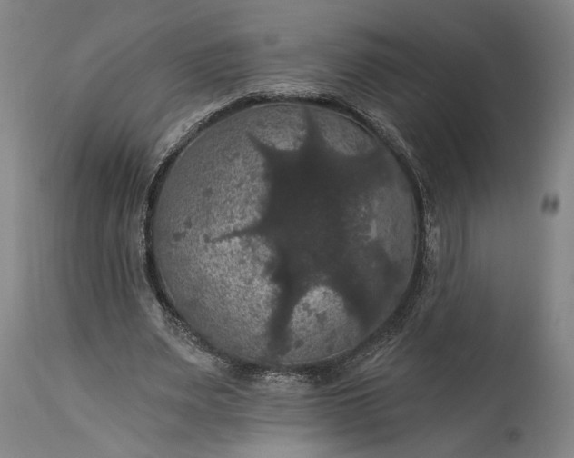 X0000115320487200911161748