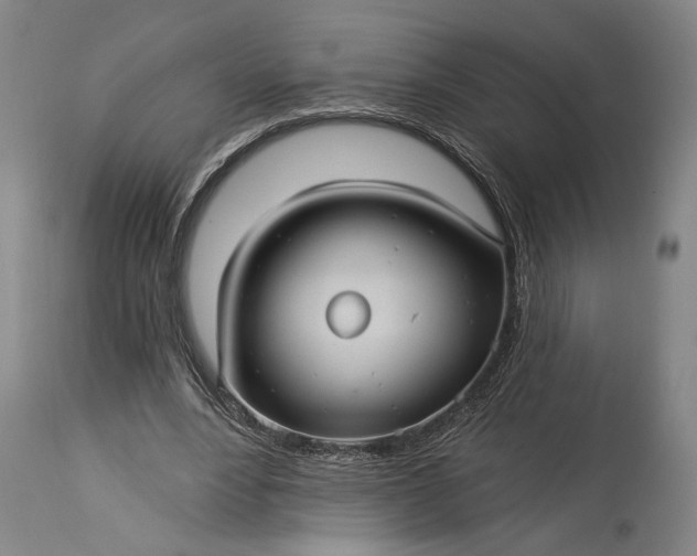 X0000115320488200911161748