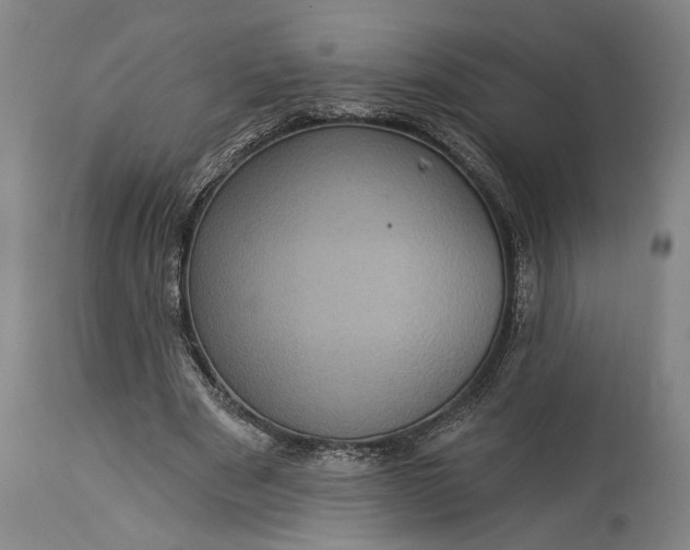 X0000115320489200911161748