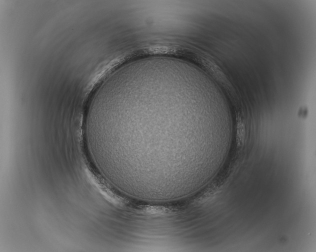 X0000115320490200911161748