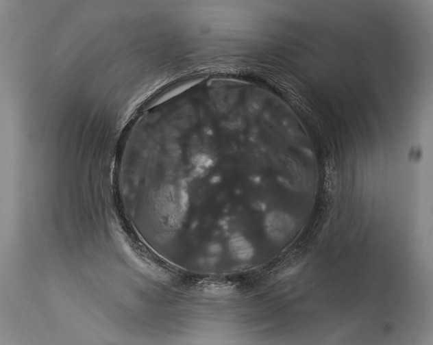 X0000115320491200911161748