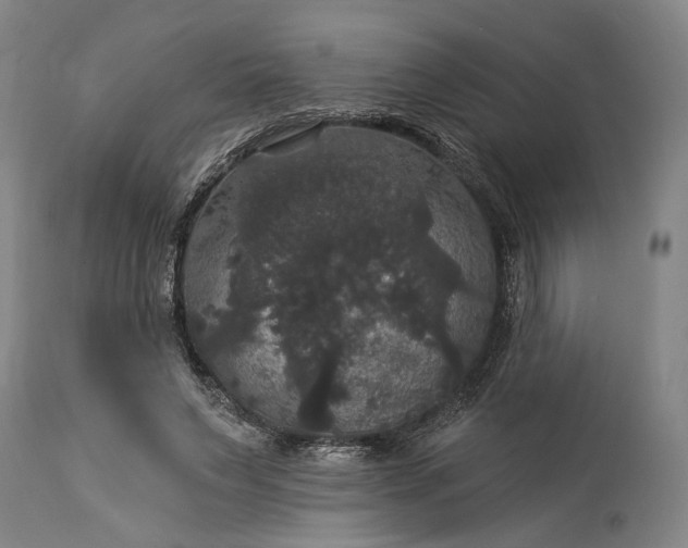 X0000115320495200911161748