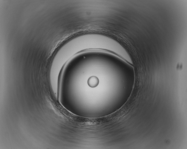 X0000115320496200911161748