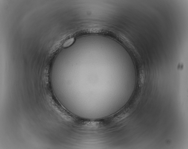 X0000115320497200911161748