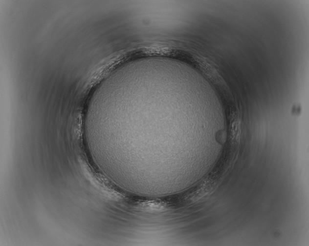 X0000115320498200911161748