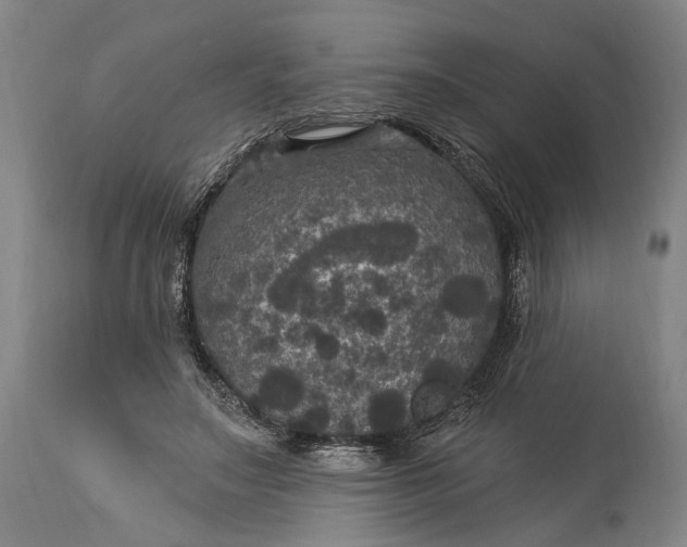 X0000115320499200911161748