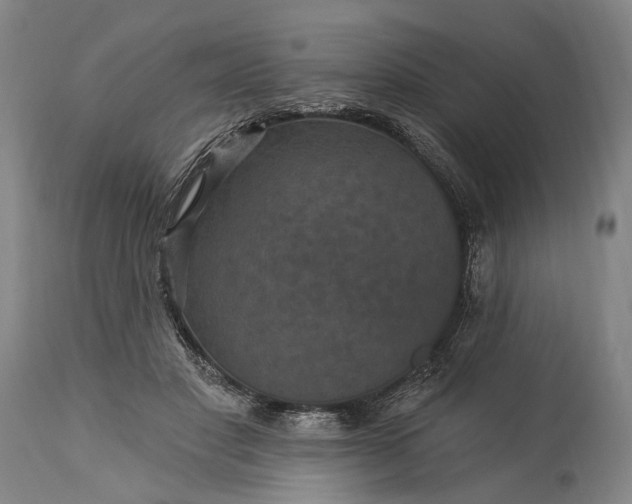 X0000115320501200911161748