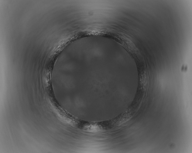 X0000115320503200911161748