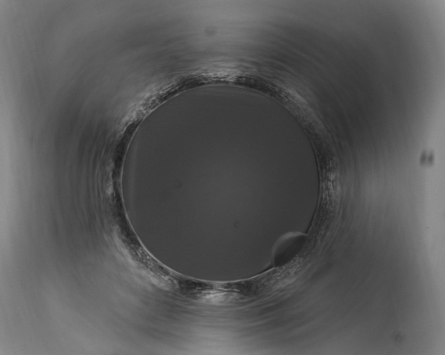 X0000115320504200911161748