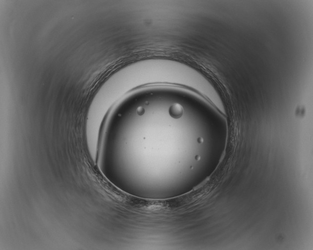 X0000115320505200911161748