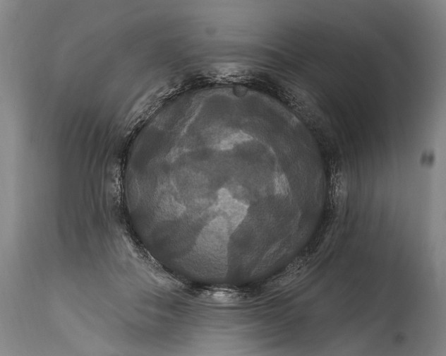 X0000115320506200911161748