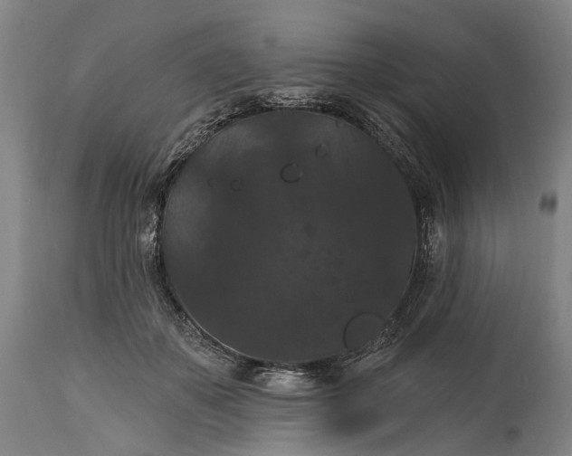 X0000115320507200911161748