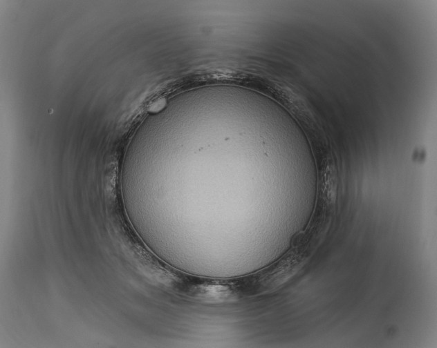 X0000115320509200911161748