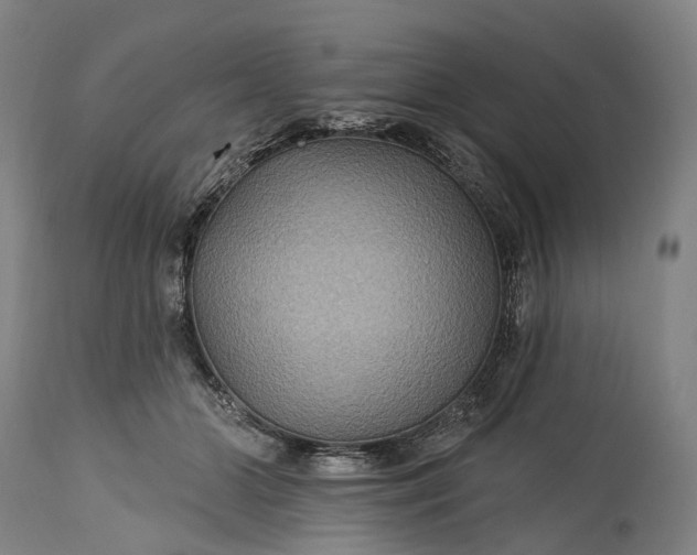 X0000115320510200911161748