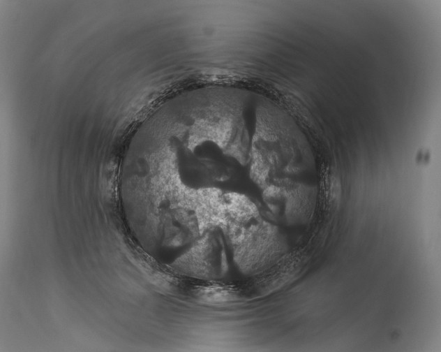 X0000115320511200911161748