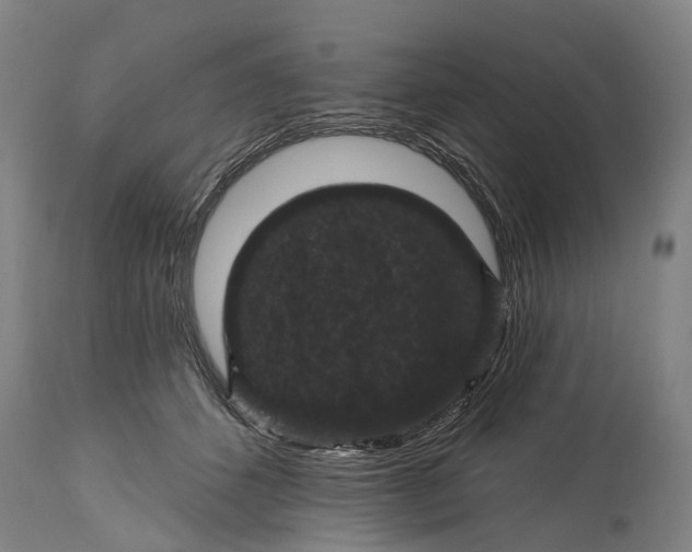 X0000115320512200911161748