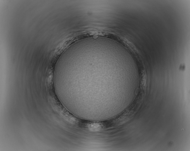 X0000115320513200911161748