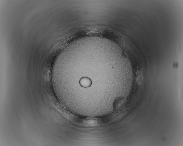 X0000115320514200911161748