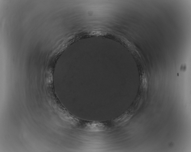 X0000115320517200911161748