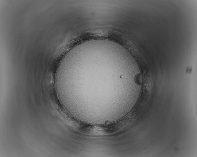 X0000115320518200911161748