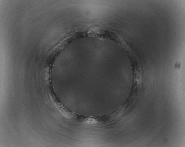 X0000115320519200911161748