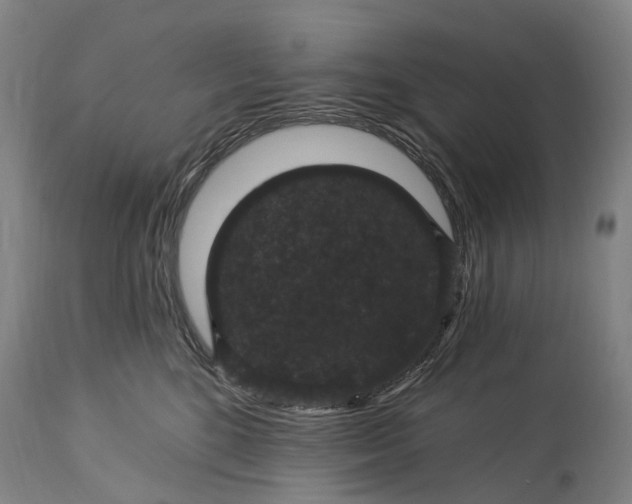 X0000115320520200911161748