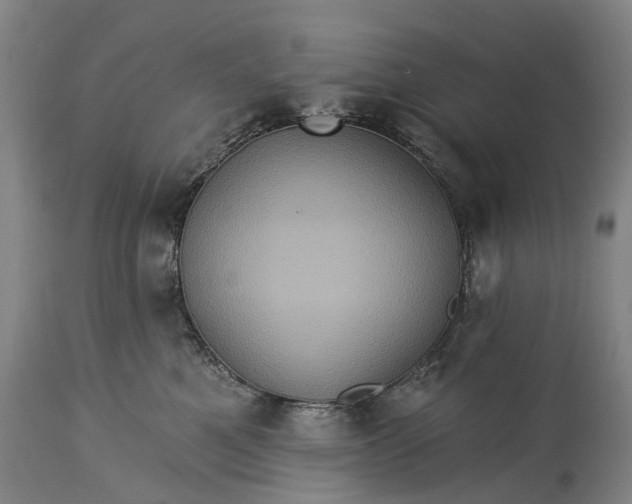 X0000115320521200911161748