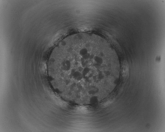 X0000115320523200911161748