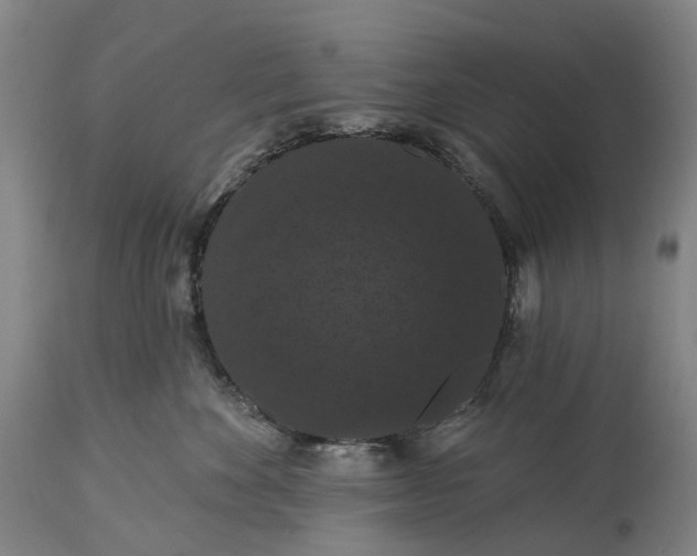 X0000115320524200911161748