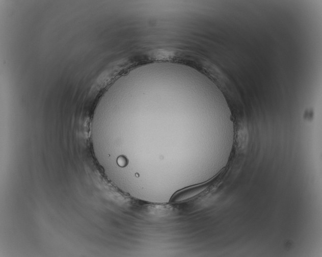 X0000115320525200911161748