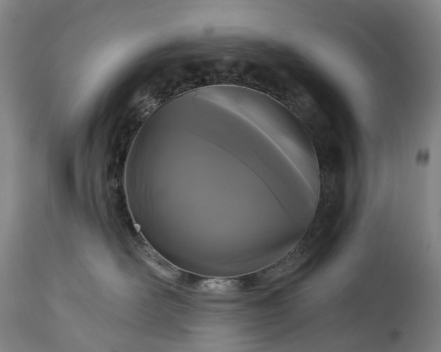 X0000115320526200911161748