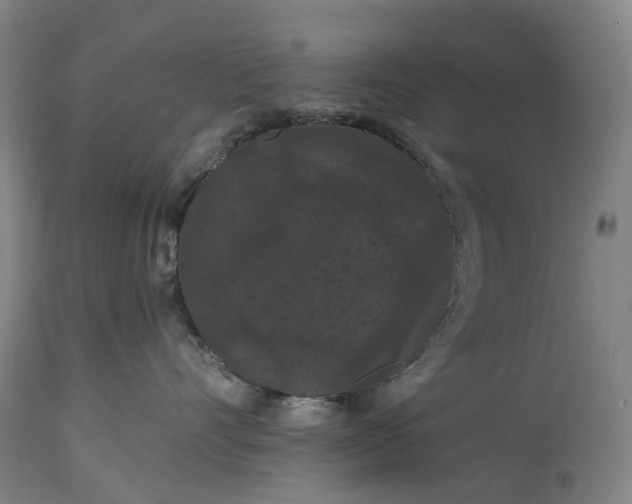 X0000115320528200911161748