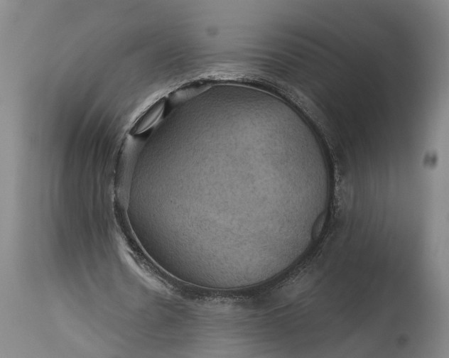 X0000115320530200911161747