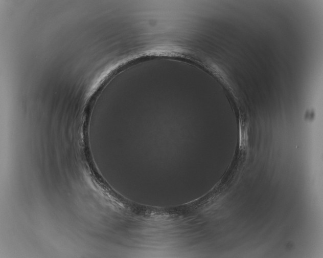 X0000115320531200911161747