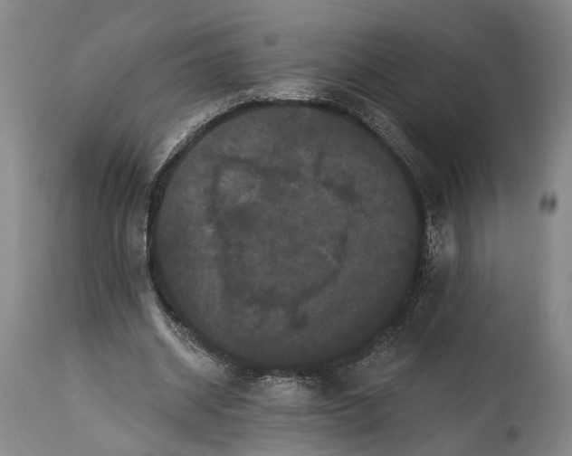 X0000115320534200911161747