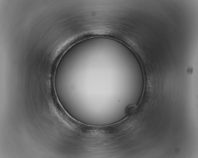 X0000115320535200911161747