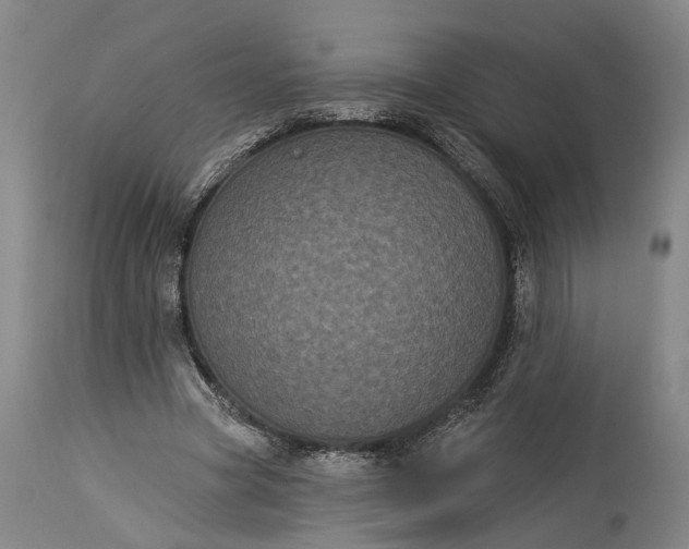 X0000115320537200911161747