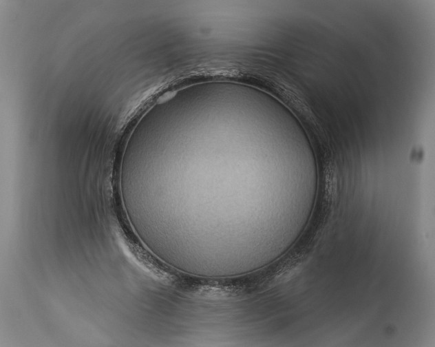 X0000115320538200911161747