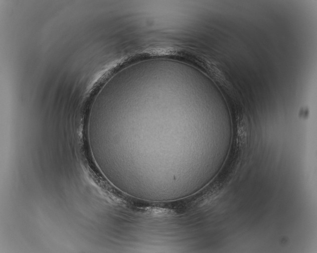 X0000115320539200911161747