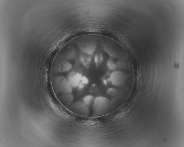 X0000115320542200911161747