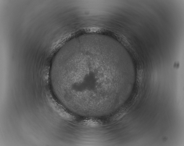 X0000115320545200911161747