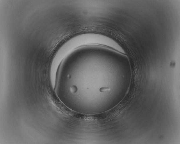 X0000115320546200911161747