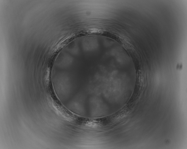 X0000115320550200911161747