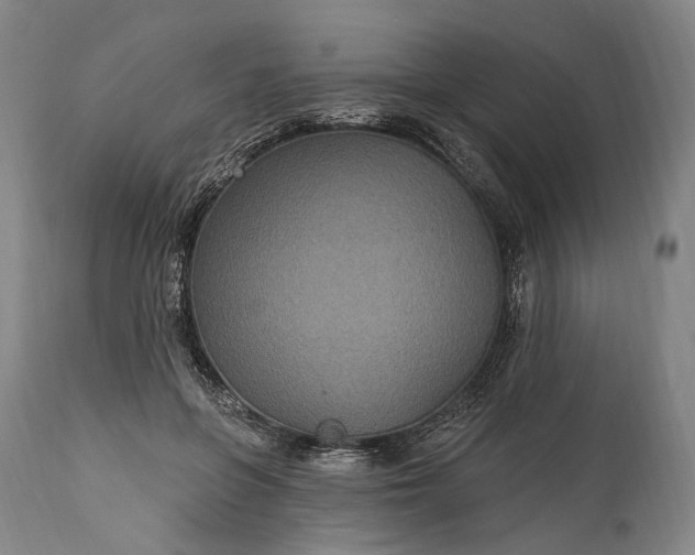 X0000115320551200911161747