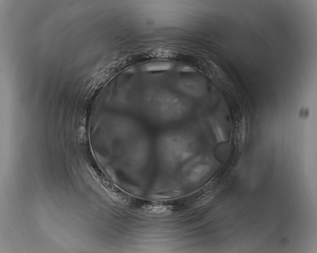 X0000115320553200911161747