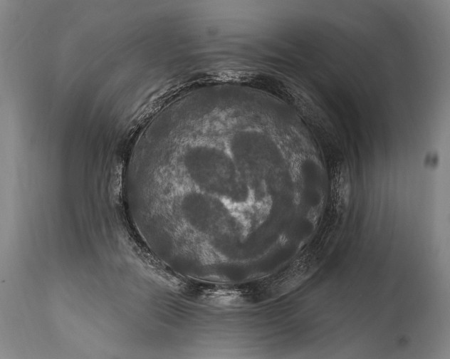 X0000115320554200911161747