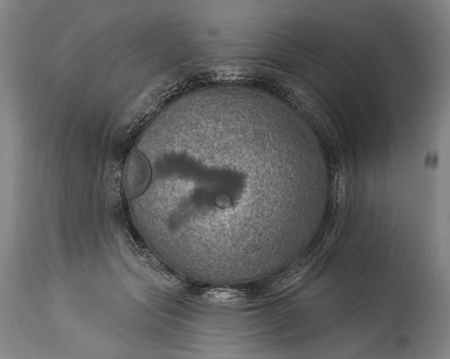 X0000115320557200911161747