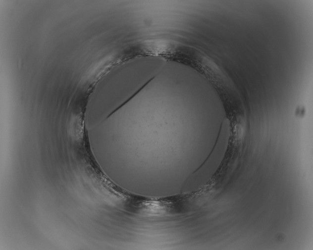 X0000115320558200911161747