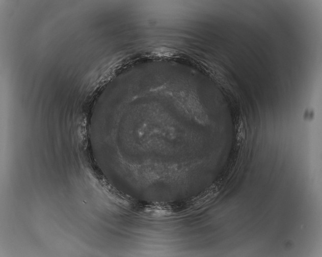 X0000115320559200911161748